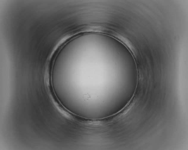 X0000113531131200910021324