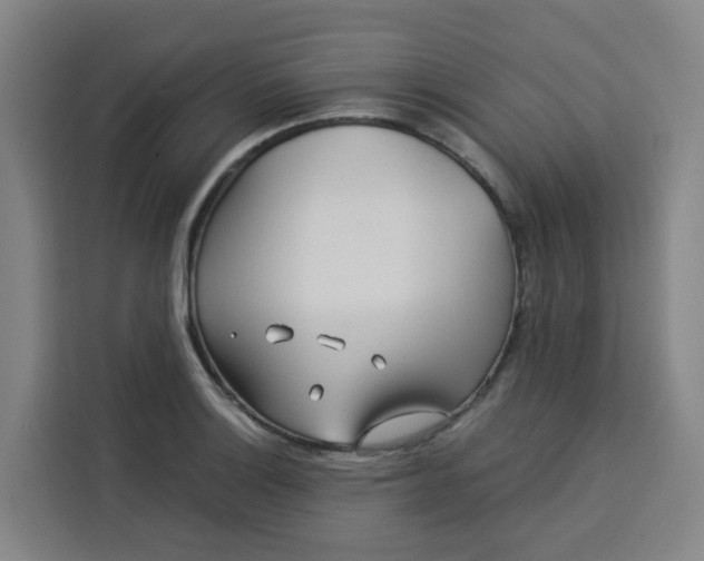 X0000113531132200910021324