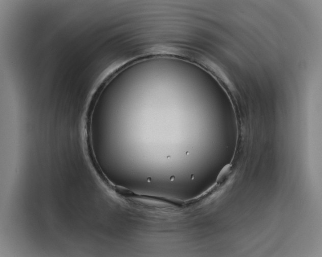 X0000113531133200910021324