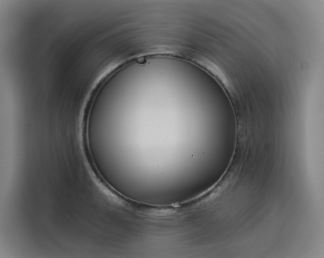 X0000113531135200910021324