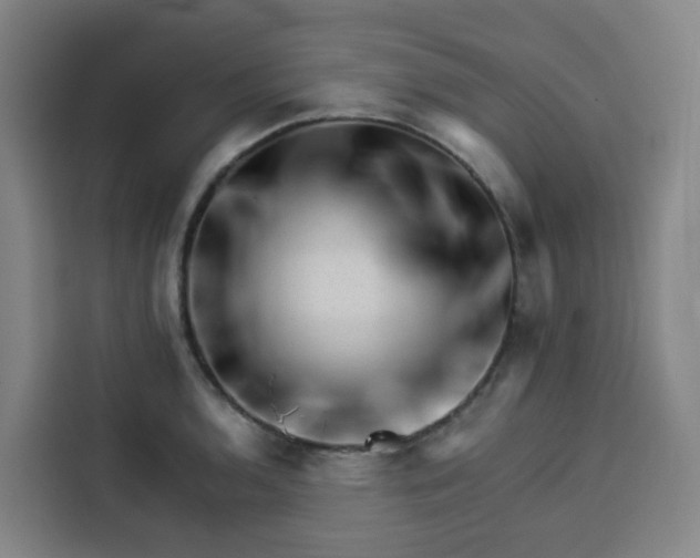 X0000113531136200910021324