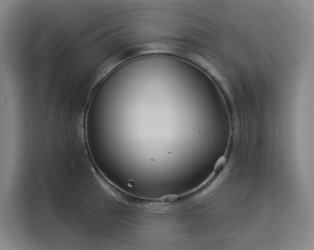 X0000113531137200910021324