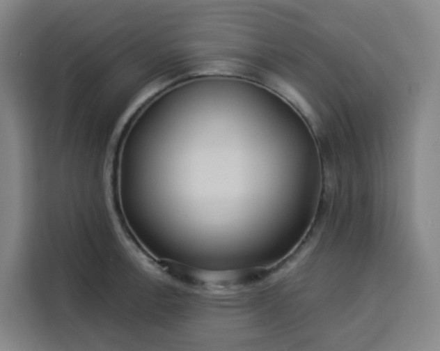 X0000113531138200910021324