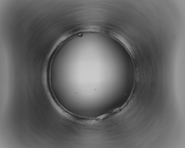 X0000113531139200910021324