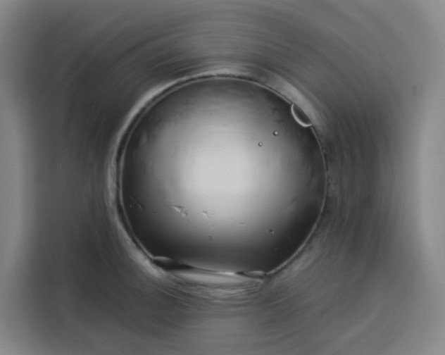 X0000113531140200910021324