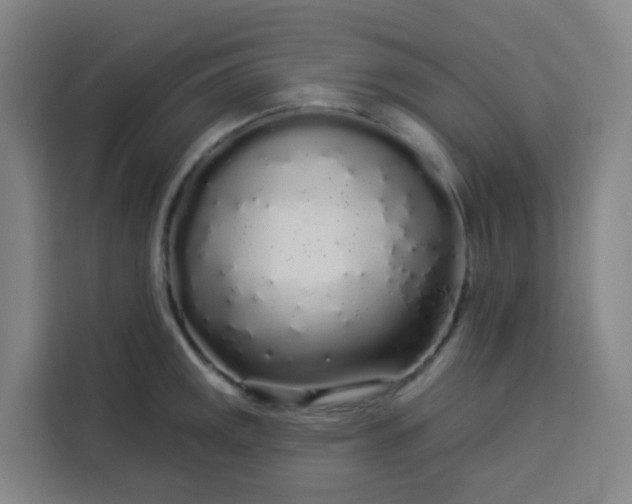 X0000113531141200910021324