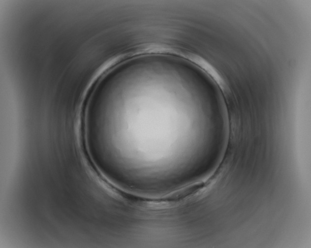 X0000113531142200910021324