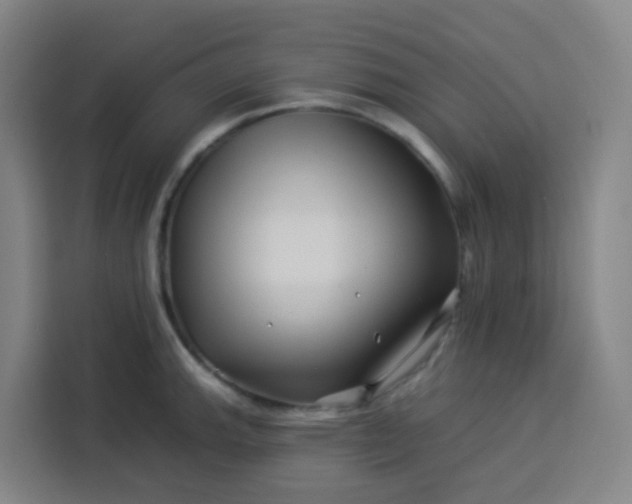 X0000113531143200910021324