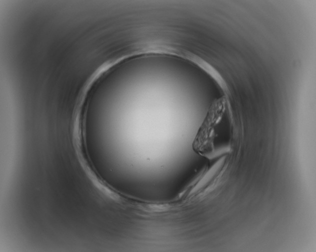 X0000113531144200910021324