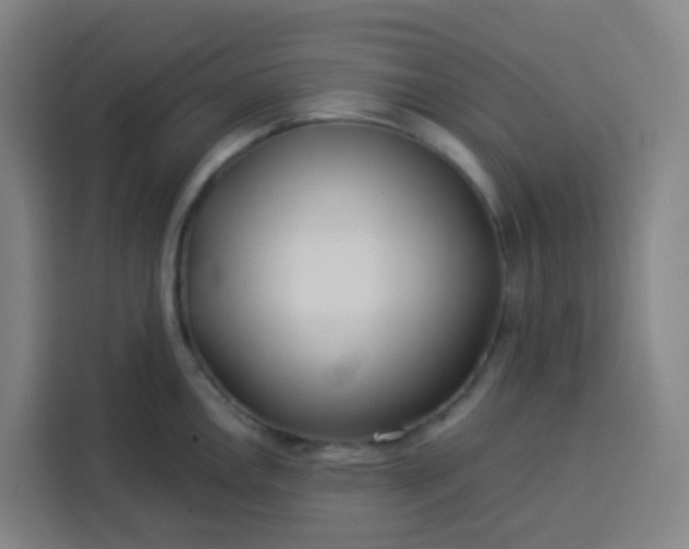 X0000113531146200910021324