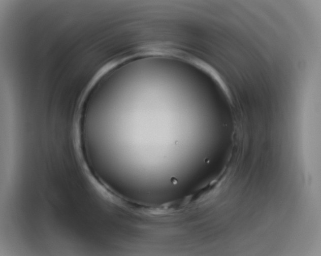 X0000113531147200910021324