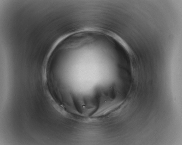 X0000113531148200910021324