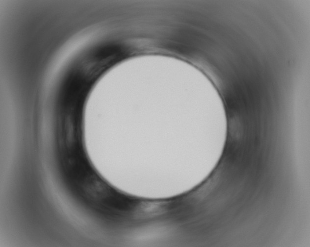 X0000113531150200910021324