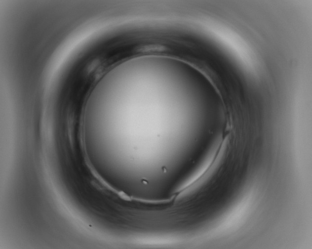 X0000113531151200910021324