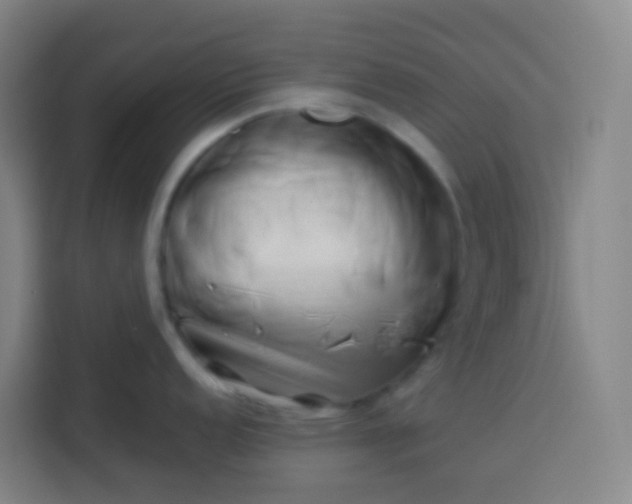 X0000113531152200910021324