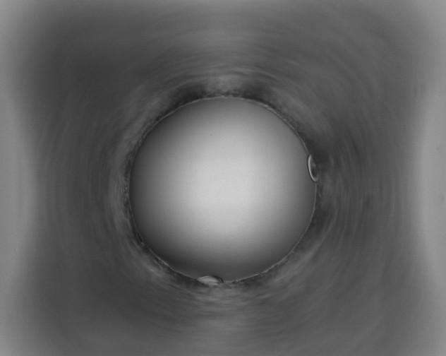 X0000113531153200910021324