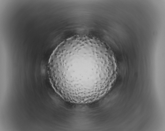 X0000113531154200910021324