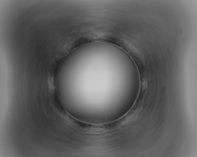 X0000113531156200910021324