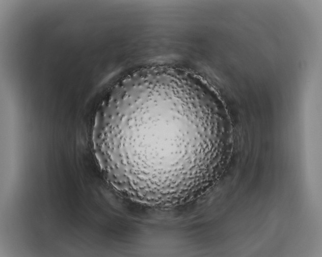 X0000113531158200910021324