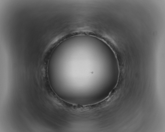 X0000113531159200910021324