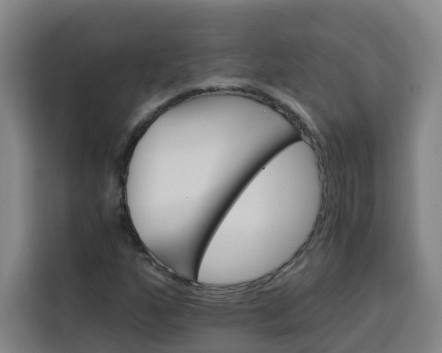 X0000113531160200910021324