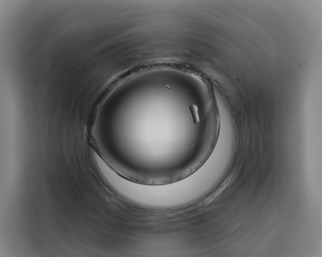 X0000113531161200910021324