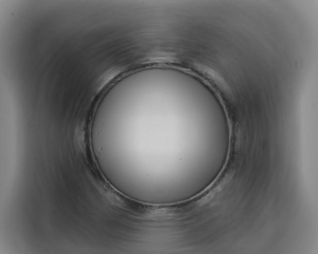 X0000113531162200910021324