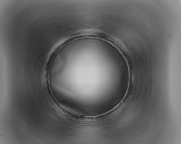 X0000113531164200910021324