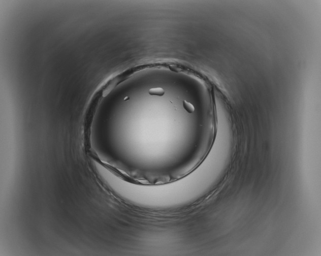 X0000113531165200910021324