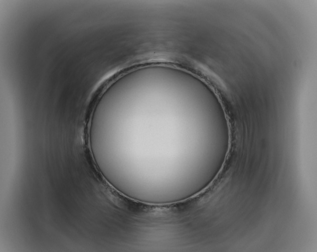 X0000113531166200910021324