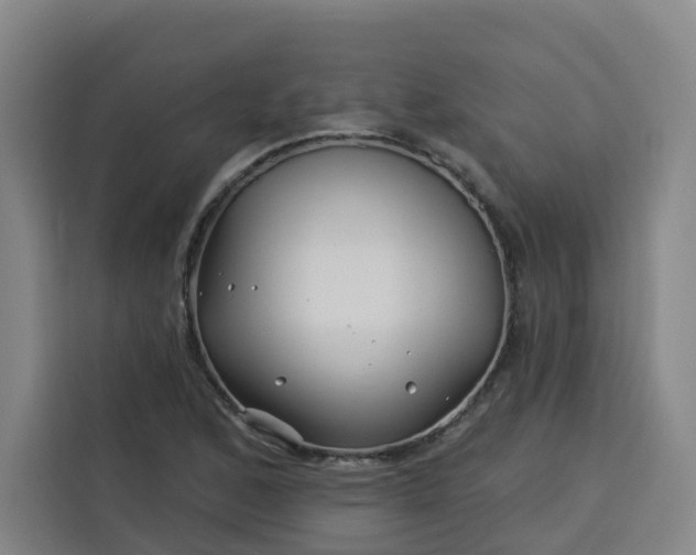 X0000113531168200910021323