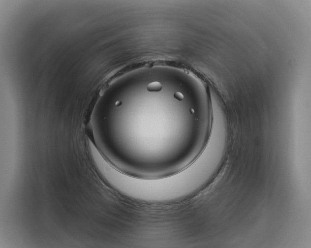 X0000113531169200910021323