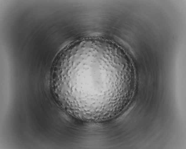 X0000113531170200910021323