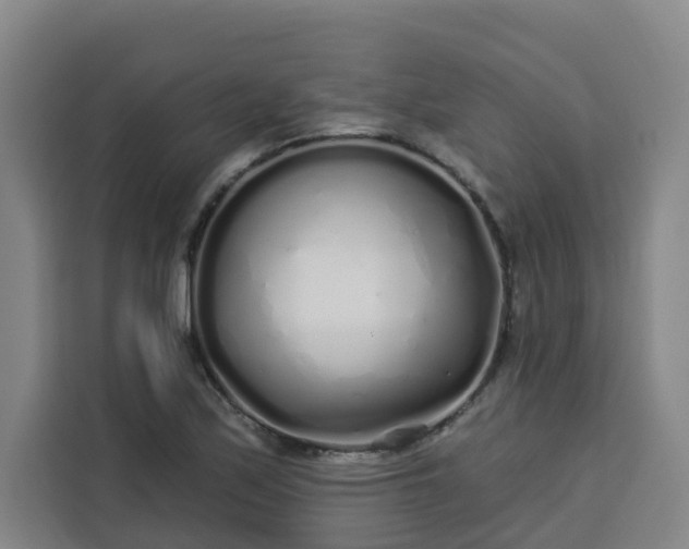 X0000113531171200910021323