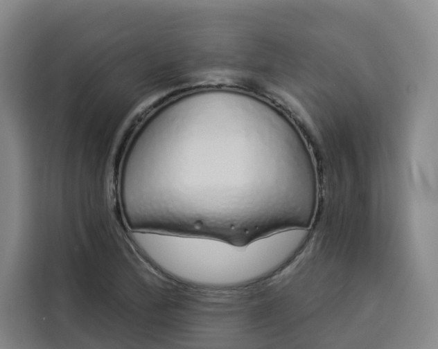 X0000113531172200910021323