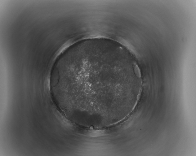 X0000113531173200910021323