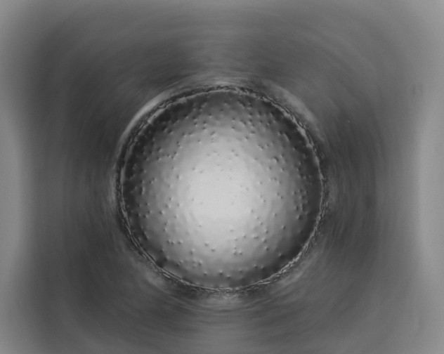 X0000113531174200910021323