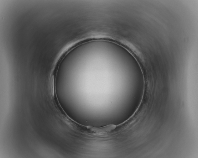 X0000113531175200910021323