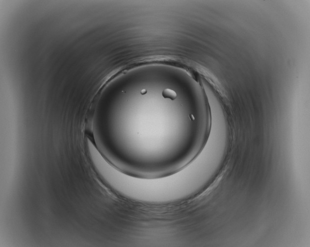 X0000113531177200910021323