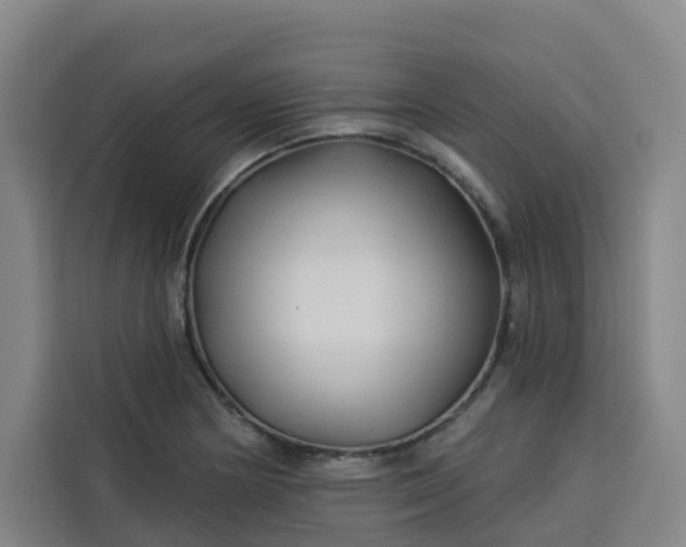 X0000113531178200910021323