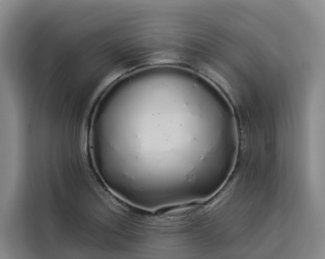 X0000113531179200910021323