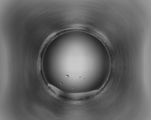 X0000113531180200910021323