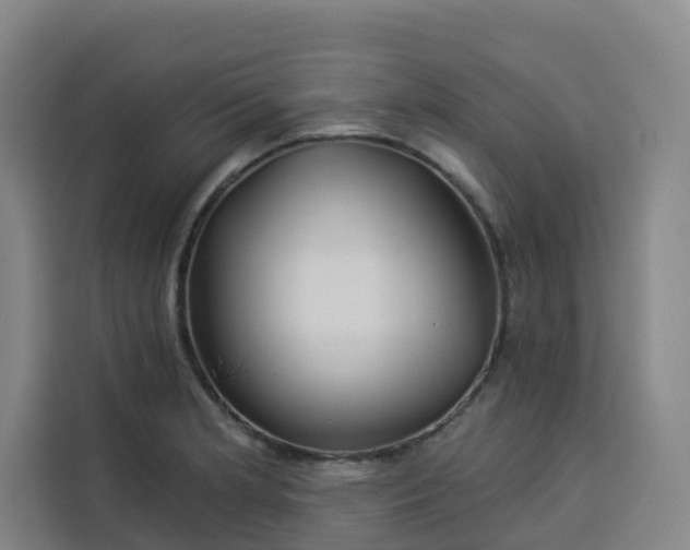 X0000113531181200910021323