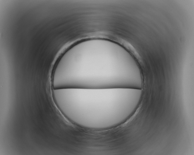 X0000113531184200910021323