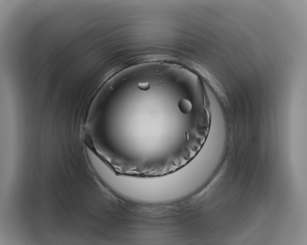 X0000113531185200910021323