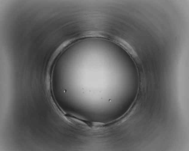 X0000113531188200910021323