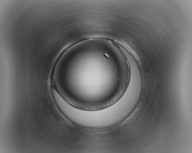 X0000113531189200910021323