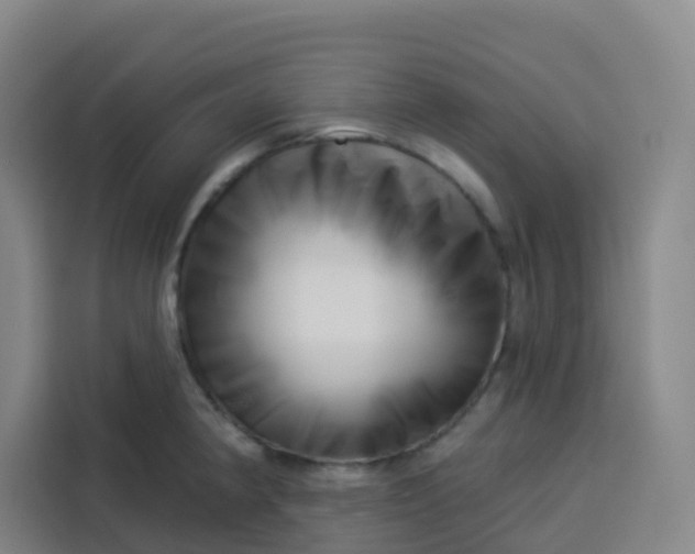 X0000113531190200910021323