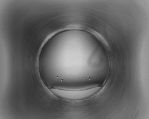 X0000113531192200910021323