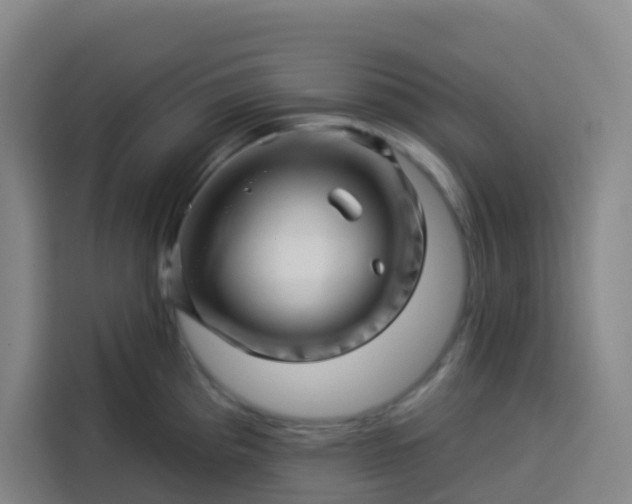 X0000113531193200910021323